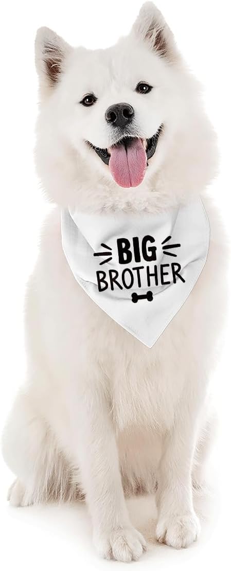 Big Brother Dog Bandana, White Pet Dog Scarf Accessories, Pregnancy Announcement Big Brother Baby Reveal, Pet Dogs Triangle Scarf, Dogs Bandana for Small Medium image 3