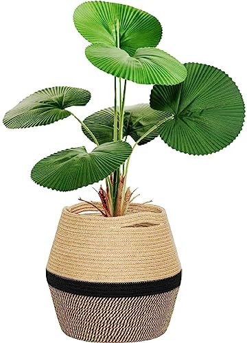 Jookeepoe Woven Baskets for Storage,Natural Plant Basket Belly Storage Basket Jute Rope Basket for Plant Pot Floor Indoor Planters