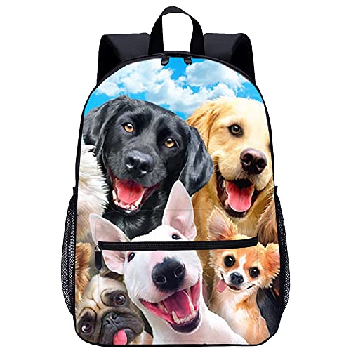Mochila de moda juvenil y mochila deportiva para perros con medidas 45x30x15cm