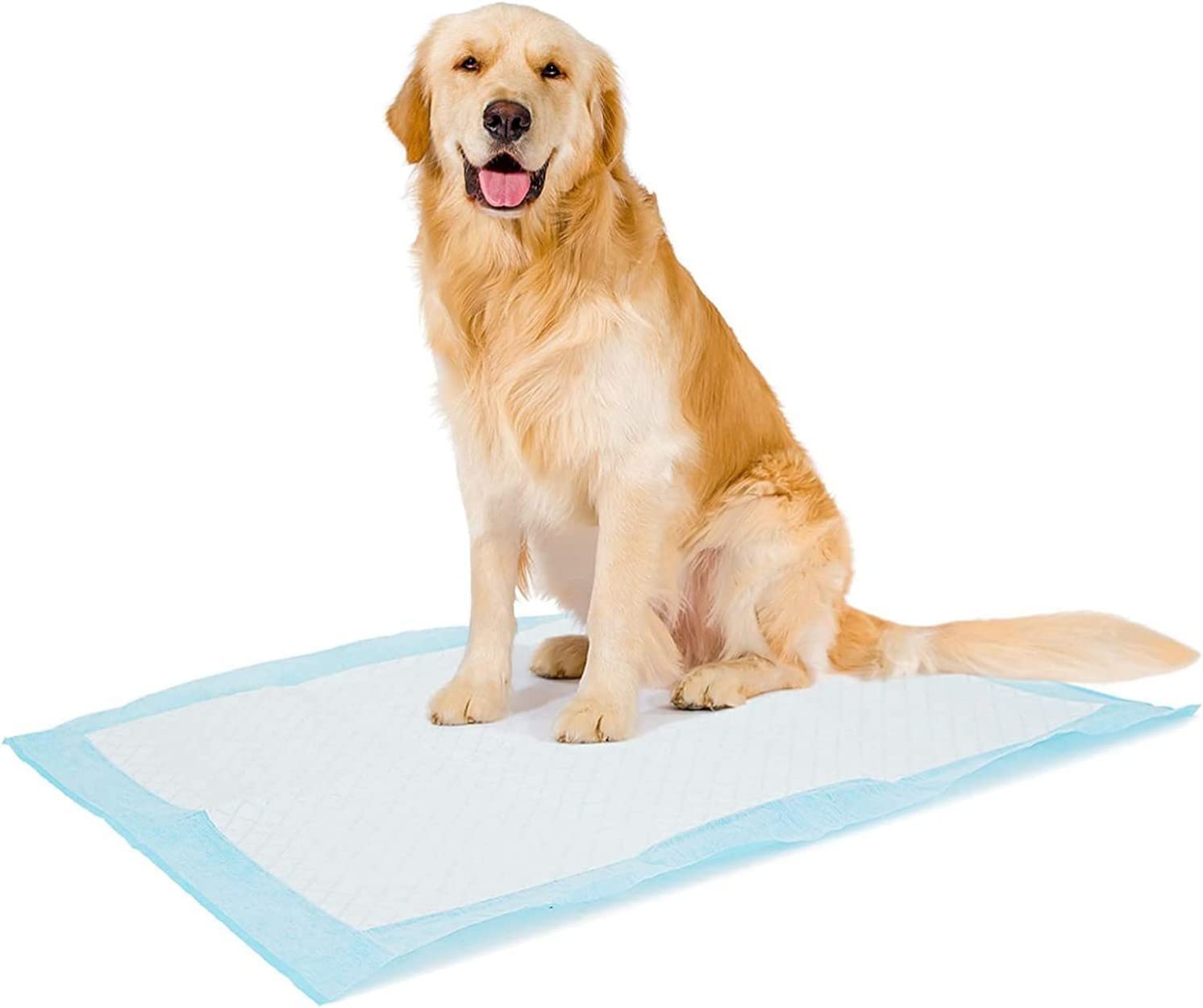 Puppy Training Pads For Dog Pet Pee Absorbent Toilet Wee Mat Anti Slip Leakproof (40 Pack-60 * 60Cm)