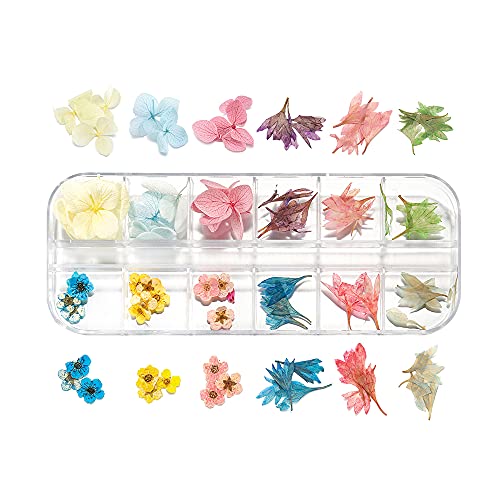 Flor seca real para manualidades y decoración miniatura 7