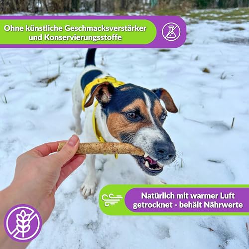 Naturbiss Hundezigarren aus HÄHNCHEN - 20 Stück (12 cm) - Barf Leckerlis Hypoallergen & Getreidefrei Zigarre - Monoprotein, 98% Muskelfleisch Rollen - Hähnchenfleisch Trockenbarf für Hunde