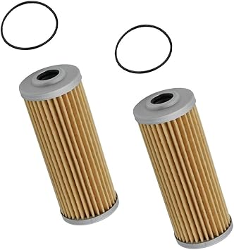 2-Pack Fuel Filter Element for 1023E, 1025R, 1026R, 1435, 1445, 1545 & Select XUV, HPX, X-Series Models – Dual-Stage Stainless