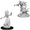 D&D Nolzurs Marvelous Unpainted Miniatures: Wave 3: Wraith & Specter