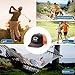 Support Local Ice Raids in Your Neighborhood Womens Ball Cap Fashion Hats for Men's Quick Dry Cap Ponytail Baseball Hat