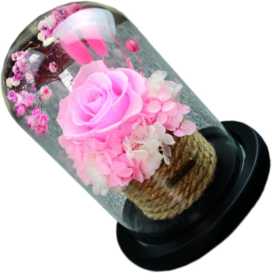 Romantic Preserved Rose Dome Box Eternal Pink Flower Glass Cover for Valentine Day Mother Day Christmas Weddings and Anniversaries