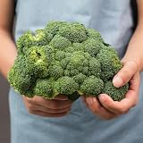 broccoli - copertura del terreno biologico giardino resistenti 750semi