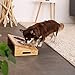 lionto erhöhter Hundenapf aus Bambus, 35x20x10 cm, doppelter Futternapf für Hunde & Katzen, 2 spülmaschinenfeste Edelstahlnäpfe Ø 14 cm, Fassungsvermögen pro Napf 250 ml, rutschfest & gelenkschonend