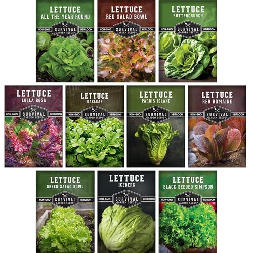 Lettuce Seeds for Planting | 10 Heirloom Lettuces Buttercrunch Romaine Iceberg Oakleaf Simpson Salad Bowl Lolla Rossa & More | Survival Garden Seeds