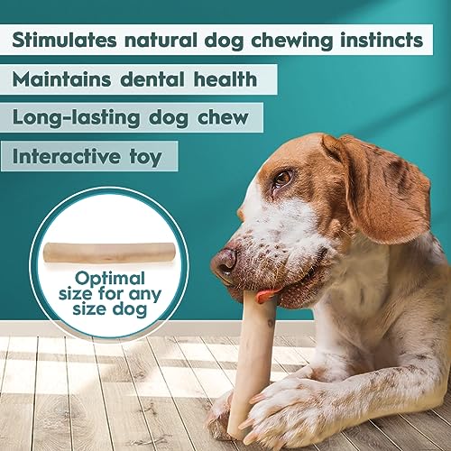 AmeizPet Coffee Tree Stick for Dog Chew Toy Coffee Tree Root Dogs Chew - Durable Dog Wooden Chewing Stick, S Size - Image 3