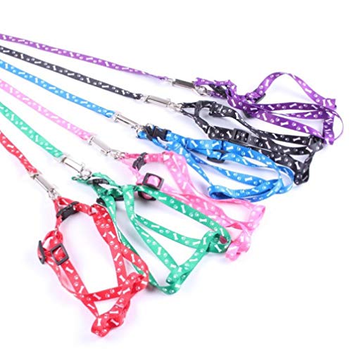 PiniceCore 1 x Nylon Haustier-Katze-Hund Welpen-Leinen Blei-Gurt-Seil-Hot