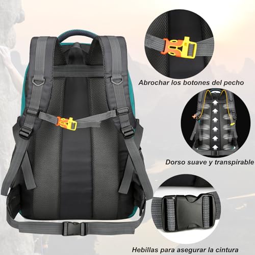 La Mejor comparativa de Sodimac sendero home - los más vendidos. 12 Imagen adicional
