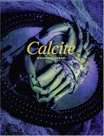 Calcite　方解石―郷司基晴写真集 511603ZDH2L.jpg