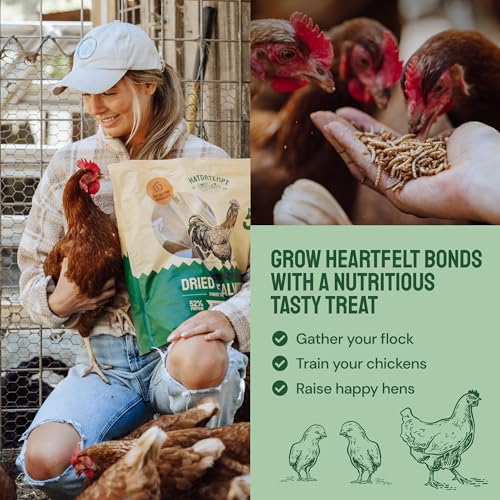 Hatortempt Chicken Treat Mix - Dried Mealworms (5lb) & Black Soldier Fly Larvae for Chickens (5lb) - 100% Natural Organic Protein Rich Chicken Feed for Laying Hens, Ducks, Wild Birds | 10lb - Thumbnail 5
