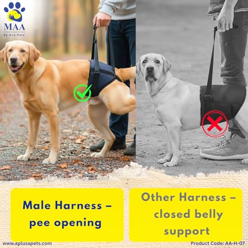 Image of A+a Pets' MAA' Male Dog Lift Support Harness for Hind /Back Legs | for Disabled Aged Injured Paralysed Arthritis (Navy, M)