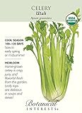 Organic Utah Celery Seeds - 350 mg - Botanical Interests