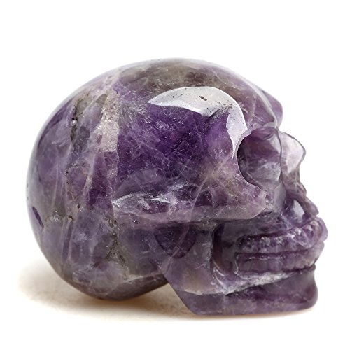 Healing Skull Quartz Crystal Figurines Sculpture,Natural Amethyst Fluorite Gemstone Stone,Reiki Carved Skull Statue Collection Home Decor Length 2 Inches #TOP3