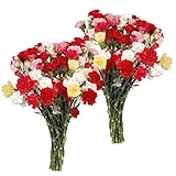 Mini-Carnations Flower Bouquet - Free Fast Shipping - Double Bouquet - 50 Stems