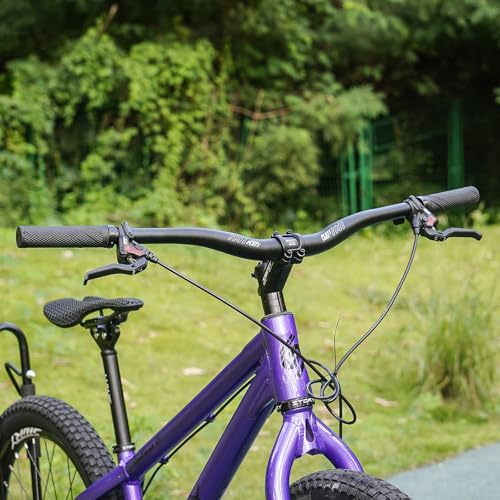 image for PLATT 25.4/31.8mm Mountain Bike Handlebar/Riser Handlebar - (30mm, 35m