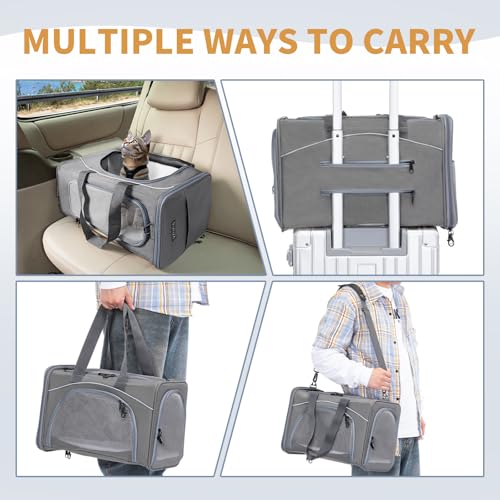 Petsfit Transporttasche Katze & Hundetasche Flugzeug | Flugtasche für Hunde & Transportbox Katze | Flugtaugliche Haustiertasche | Sicherer Transport in Auto, Flugzeug und Bahn, S/Grau