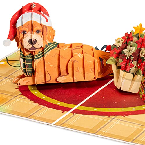 Frndly by Paper Love Christmas Cards Pop Up, 3D Christmas Dog, Handcrafted Popup Greeting Card For Christmas or Holidays, 100% Recycled and Eco-Friendly, 8' x 6' Cover - With Note Tag