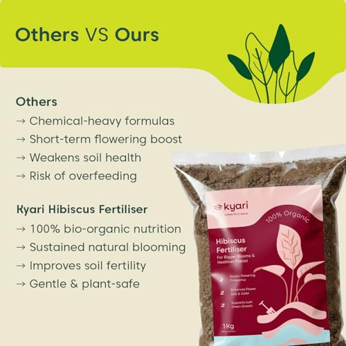 Image of Kyari Hibiscus (Gudhal) Fertilizer for Flowering Plants 1kg | Plant Food for Bigger Blooms, Greener Leaves & Stronger Roots | Nutrient-Rich Fertilizer for Home Garden Plants