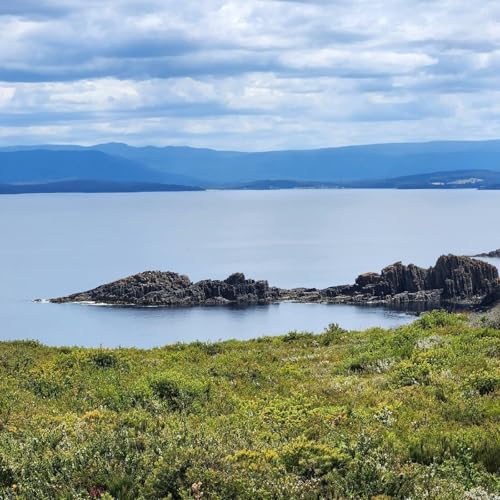 What is inflammation in the body?