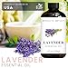 Brooklyn Botany Lavender Essential Oil - Huge 4 Fl Oz - 100% Pure and Natural - Premium Grade with Dropper - for Aromatherapy and Diffuser
