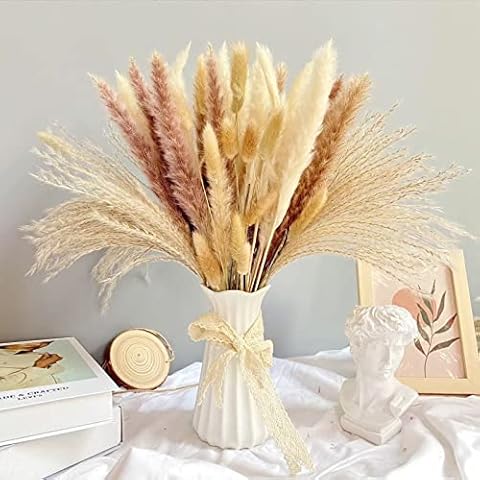 65 piezas Pampas secas decoracion Cover