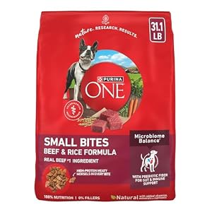 Purina One Small