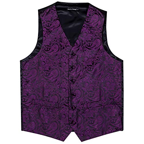 Image of Barry.Wang Men's Suit Vest Formal /Leisure Paisley Jacquard Silk Tie Pocket Square Waistcoat Set Wedding 5PCS