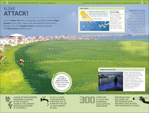 1,000 Amazing Weird Facts (DK 1,000 Amazing Facts) - Image 4