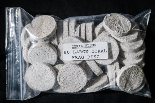 Coral Plugs 80 CURED REEF LARGE FRAG DISC LIVE CORAL FRAG PROPAGATION