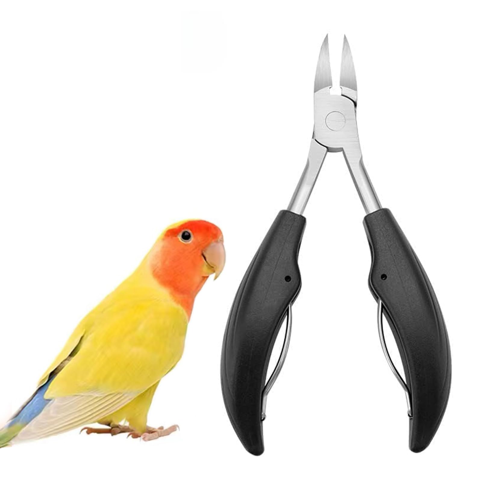 Amazon.co.jp: QuickYen 爪切り 鳥用 ステンレス 軽量