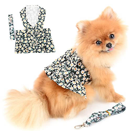 PAIDEFUL Pettorina Vestito per Cani di Piccola