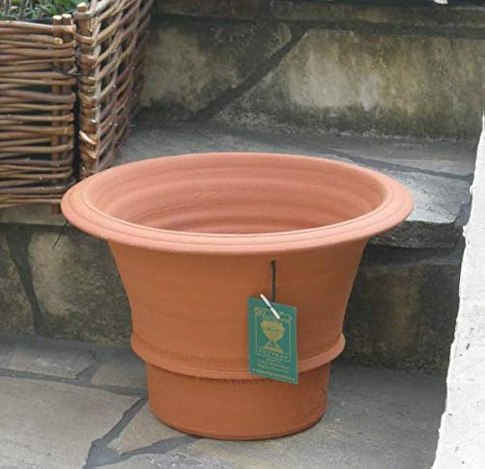 Amazon | ウィッチフォード テラコッタ植木鉢 オレンジポット 直径29cm Amazon | ウィッチフォード テラコッタ植木鉢 オレンジポット 直径29cm