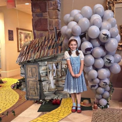 Preboun 128 Pcs Wizard Party Decorations 78 in Fairy Tale Tornado Chalet Backdrop Balloon Kit Farm Animal Cardboard Decorations for Wizard Birthday Party Supplies Indoor Outdoor Photography Backdrop