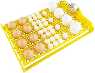 Multi-Function Incubator Egg Tray 24 Plastic Automatic Egg Turning Tray with 110V Auto Turn Motor