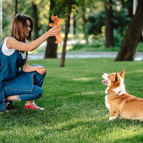 Weiches Hundespielzeug aus Stoff, quietschendes Kuchenzubehör, Spielzeug mit Geräuschen für Welpen und Haustiere, geeignet für Hunde aller Größen