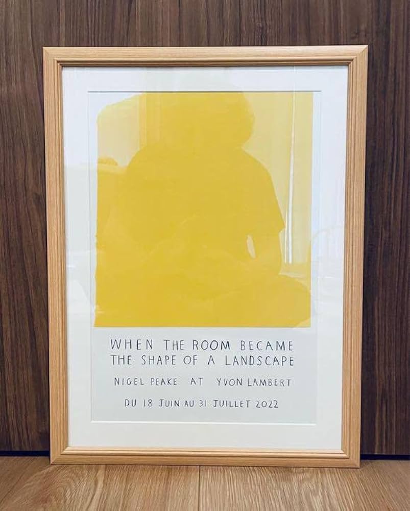 Amazon.co.jp: Nigel Peake ポスター フランス限定 国内未入荷