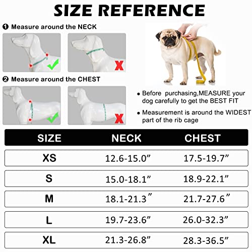 LOCYFENS Dog Harness, No Pull Dog Harness with Soft Handle and 2 Leash Clips, Service Dog Harness with 4 Different… - Image 7