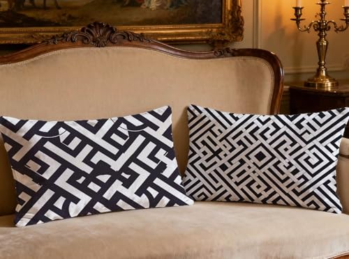 Coussin abstrait noir et blanc 50x70cm lot de 2 velours salon