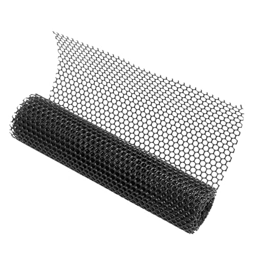 Cemaystic Zp`vX`bNtFXbV y ϋv vCoV[XN[ ʋC  bh~ ]h~ prیlbg K[fjO {