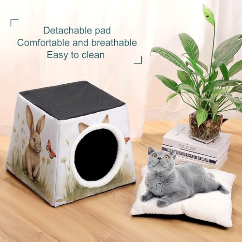 Nichoir capsule spatiale pour lapin et chat de petite taille