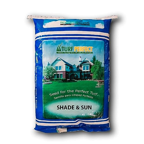 Best Grass Seed For Full Sun our top picks 2023 Consumer Reports