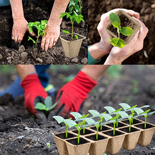 Image of OTYMIOW 200 Cells Seedling Trays, 20PCS Seed Pots and Trays, Seed Starter Trayss Kit Germination Plant Pots Germination Planting Pot Starter Pot Kit Indoor Outdoor + Label Papers 40 Packs