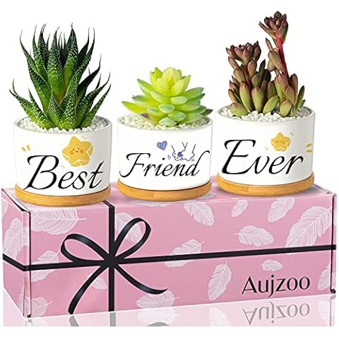 Aujzoo Friendship Gifts for Housewarming Birthday Gifts Christmas Thanksgiving -Best Friend Ever Succulent Pots for Housewarming Gifts,Plant Pots Set with Beautiful Gift Box, Pink,white Cover