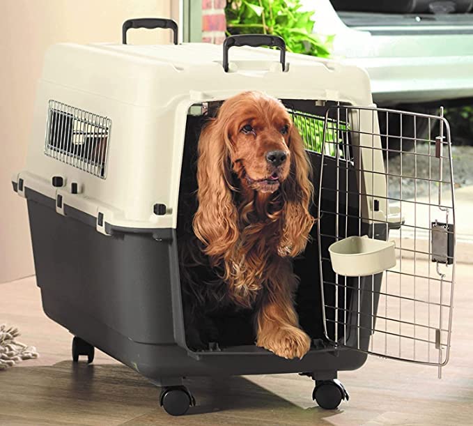 PETARCHI Heavy Duty Flight Crate Carrier for Dogs, IATA Compliant