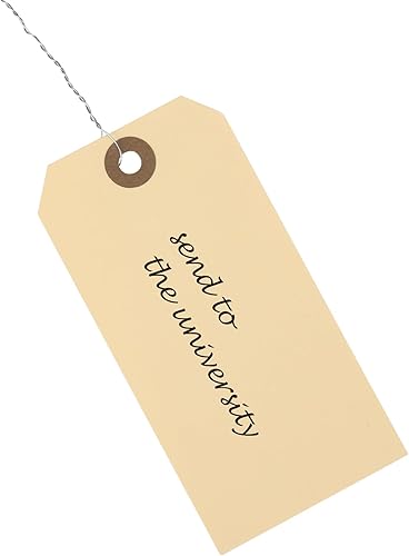 Miniatura 8 de Etiquetas de papel con lazos de alambre, etiquetas de envío con doble cable de 4 34 x 1 38 pulgadas, etiquetas de alambre de Manila con ojales