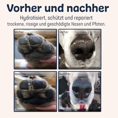 Droolings Pfotenbalsam Hund und Katzen 100% Natürlicher Balsam für Nase und Pfotenpflege 60 ml